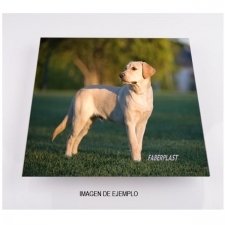 Perspex printed FRAMES