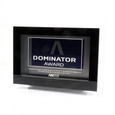 Plexiglas trophy ANSYS