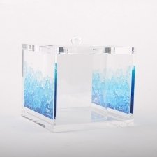 Plexiglas box EDU and SARA