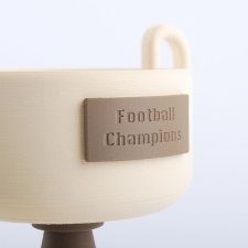 Football Cup of plexiglas and PLA 3D printing