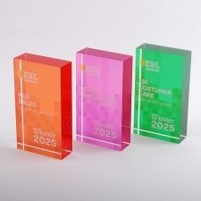 ESL EDUCATION Plexiglas Blocks