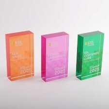 ESL EDUCATION Plexiglas Blocks