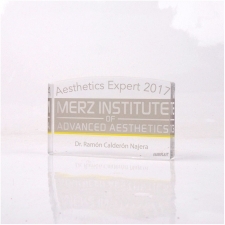 Acrylic Plexiglas Block Merz 2017