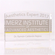 Acrylic Plexiglas Block Merz 2017