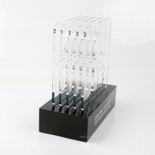 Acrylic Plexiglas Trophy Fs
