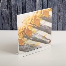 Acrylic plexiglas display 2 sides