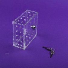 Perspex Safe Box THERMOSTAT transparent