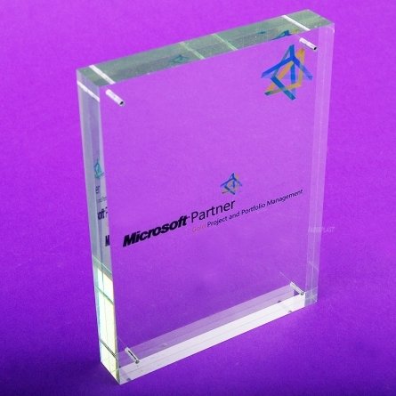 Acrylic Plexiglas Tombstone MICROSOFT