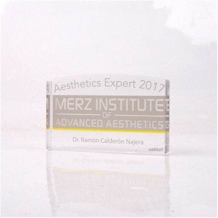 Acrylic Plexiglas Block Merz 2017