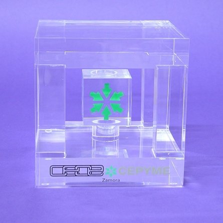 Trophy Plexiglas Ceoe Zamora