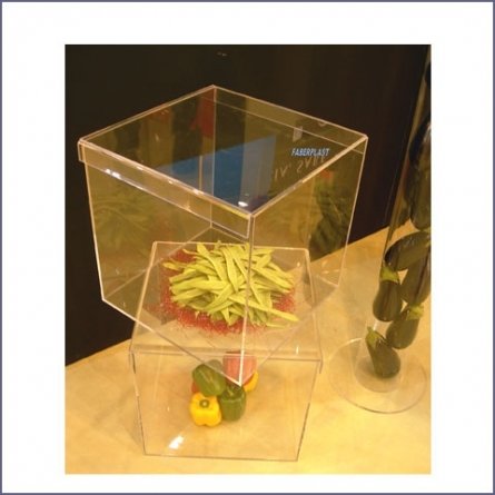 Acrylic Plexiglas Vegetables Box