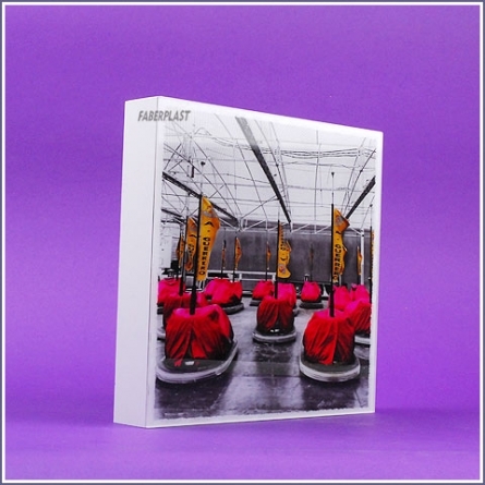 Acrylic Plexiglas Tableau Digital Printing 