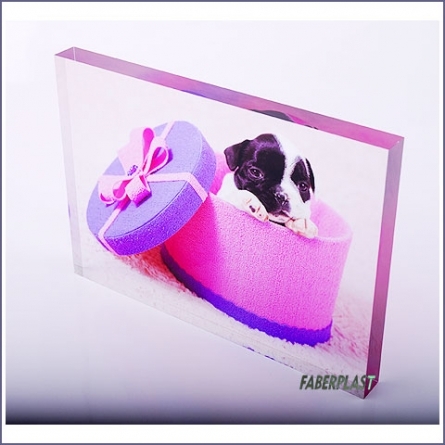 Acrylic Plexiglas Bloc Puppy Digital Printing