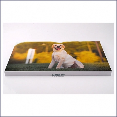 Acrylic Foamapan Frame Wilson